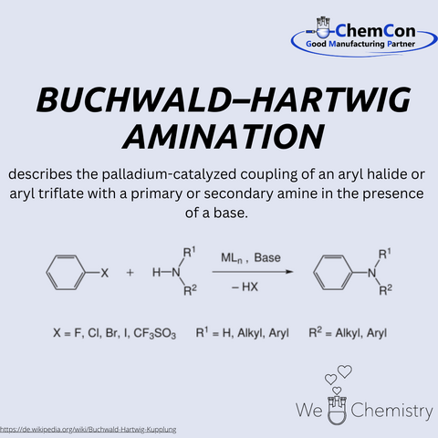 Schematic representation of the Buchwald-Hartwig amination